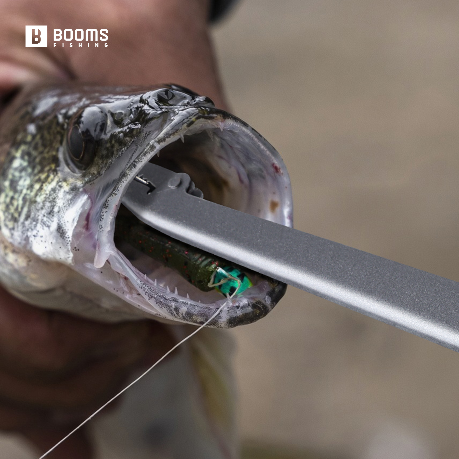 Booms Fishing 25cm Carbon Stee - Fishing Equipment Warehouse recensie en prijs